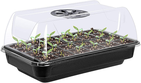 Propagation