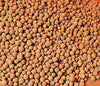 Hydroton Expanded Clay Pellets
