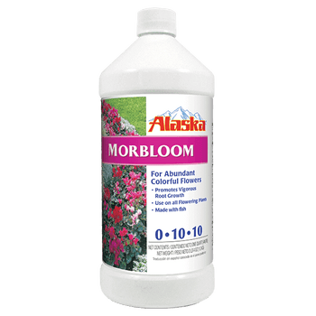 Alaska Morbloom