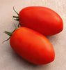 TM845 Optimax Tomato