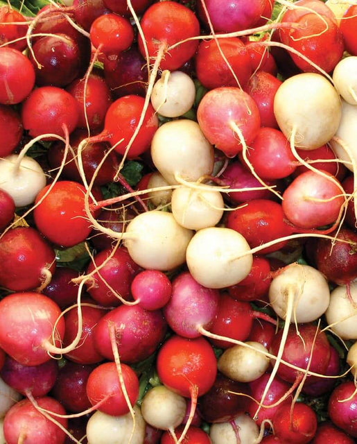 radishです。 RD674 Radish Easter Egg Blend – Hydro-Lite Hydroponics