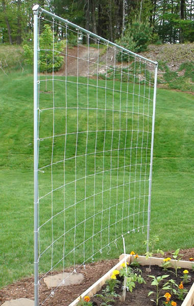 trellis netting for plants Trellis Netting