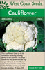 CF306 Cauliflower Amazing