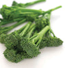 BR189 Aspabroc Broccolini