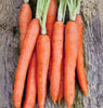 CR294 Nantes Coreless Carrots