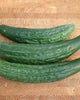 CU402 Cucumber Green Dragon