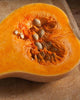 SQ761 Squash Waltham Butternut