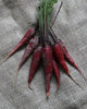 CR321 Carrots Cosmic Purple