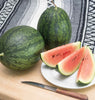 ML509 Melon Black Beauty