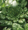 MU545 Bok Choi Tah Tsai