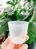 Orchid Pot (With Lip)
