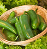 PP647 Jalapeno M