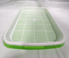 Microgreen Tray with Mesh Drainage 12" x 9"