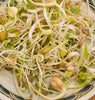 SS255 Gourmet Mix Sprouts