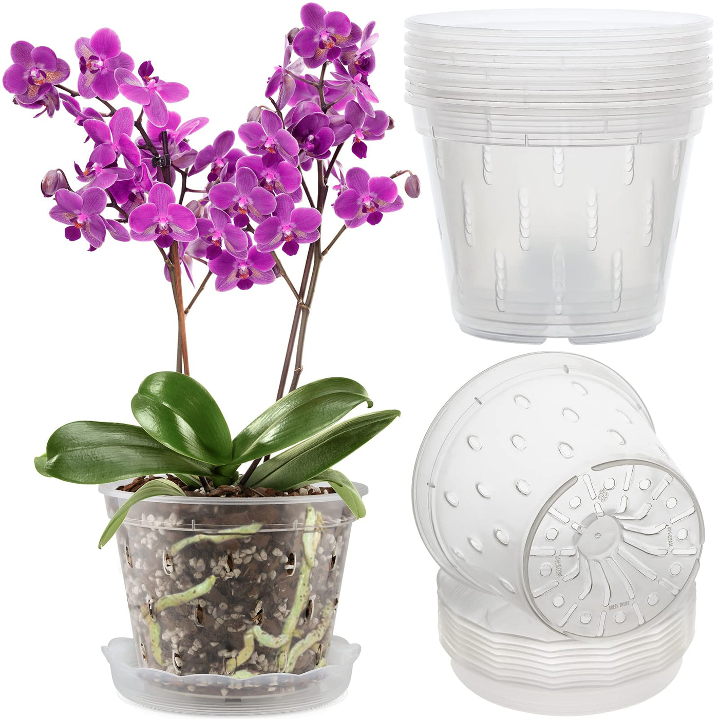 transparent orchid plant pots Orchid Pot (With Lip)