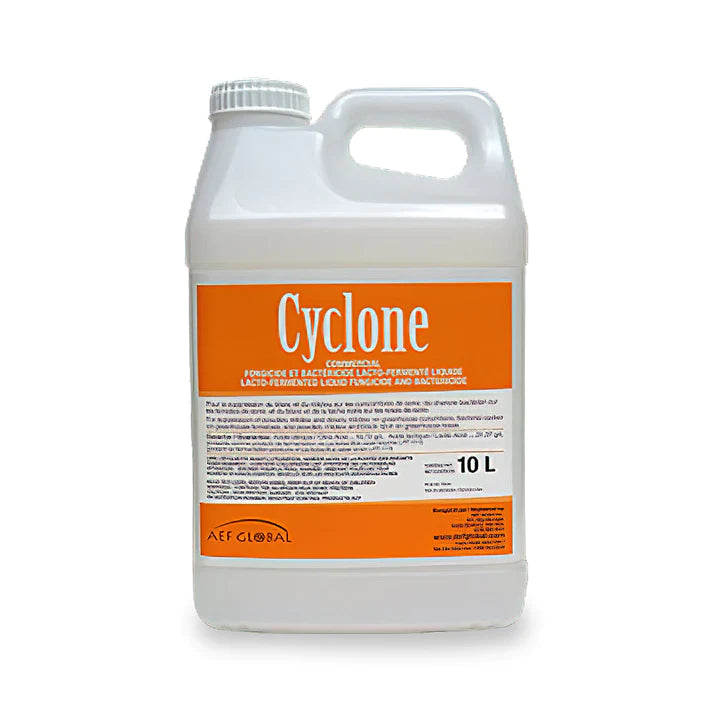 Cyclone 10L