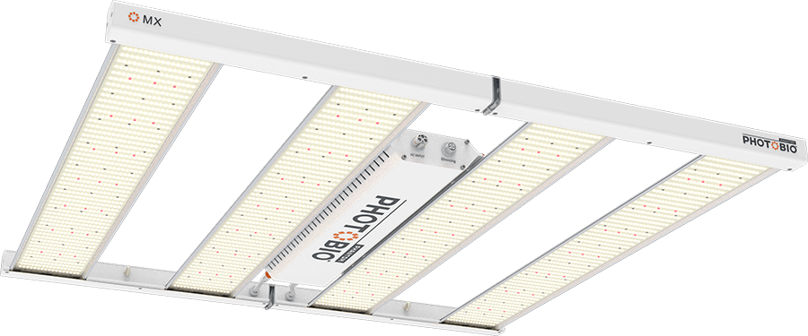 Phantom led grow deals lights