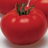 TM819 Tomatoes Arbason