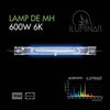 Iluminar DE Bulb 600w 6000K